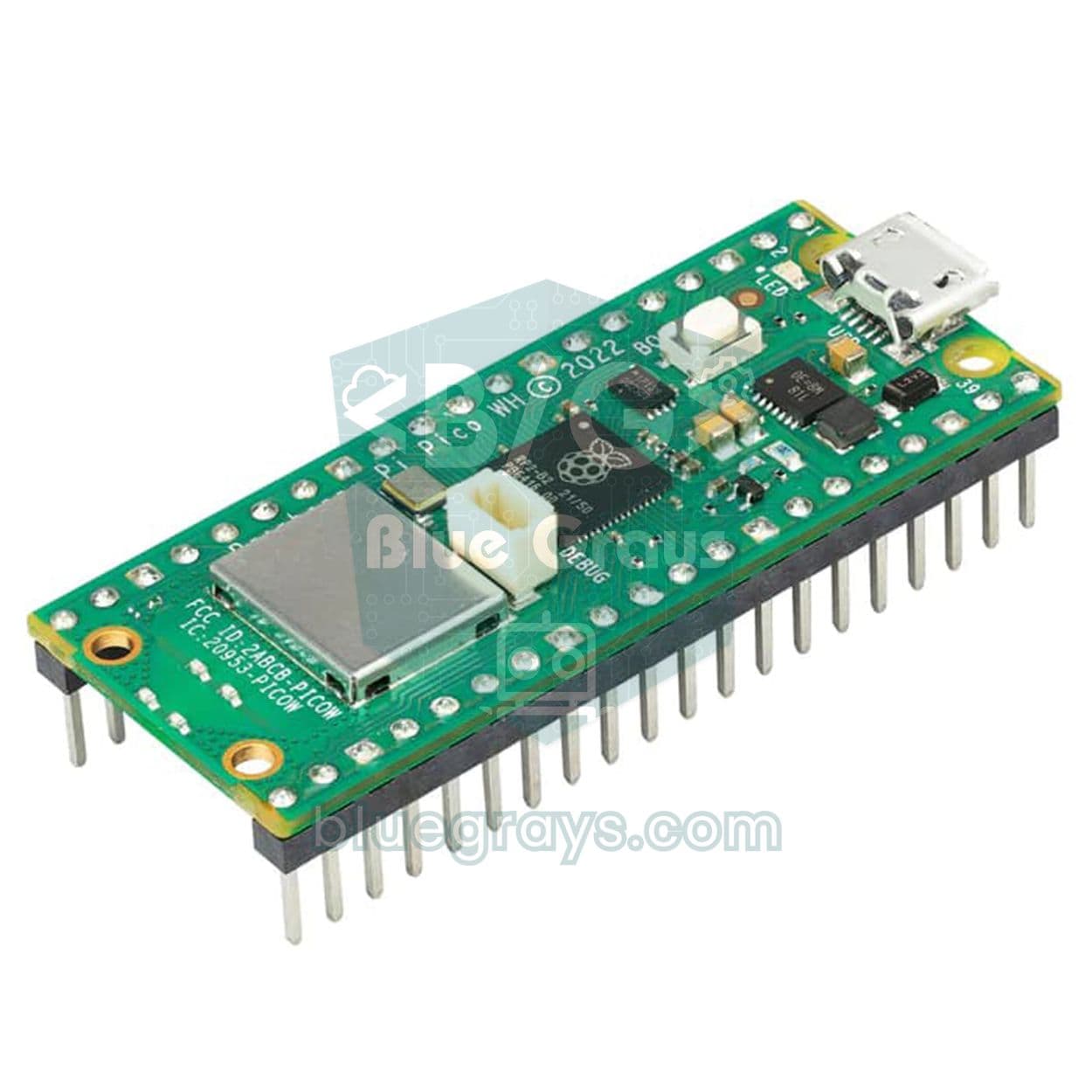 Raspberry Pi Pico